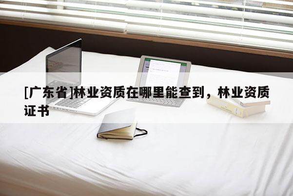 [广东省]林业资质在哪里能查到，林业资质证书