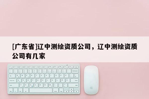 [广东省]辽中测绘资质公司，辽中测绘资质公司有几家