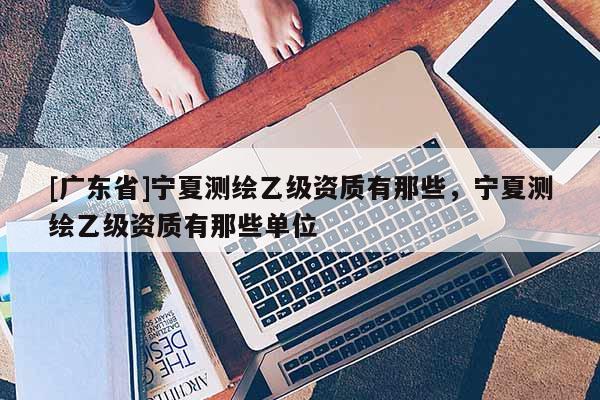 [广东省]宁夏测绘乙级资质有那些，宁夏测绘乙级资质有那些单位