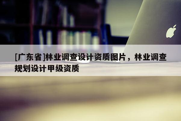 [广东省]林业调查设计资质图片，林业调查规划设计甲级资质