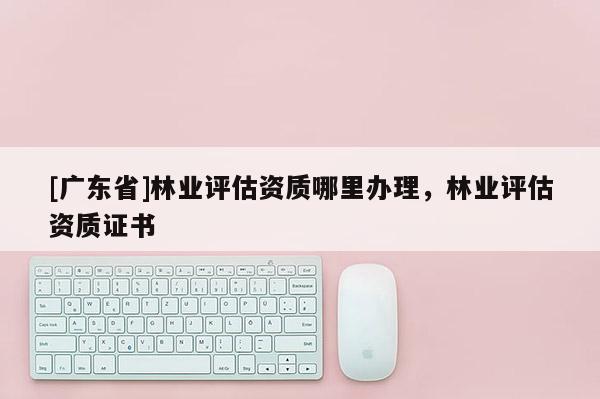 [广东省]林业评估资质哪里办理，林业评估资质证书
