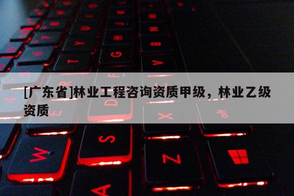 [广东省]林业工程咨询资质甲级，林业乙级资质