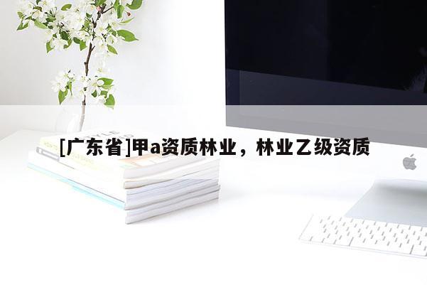 [广东省]甲a资质林业，林业乙级资质