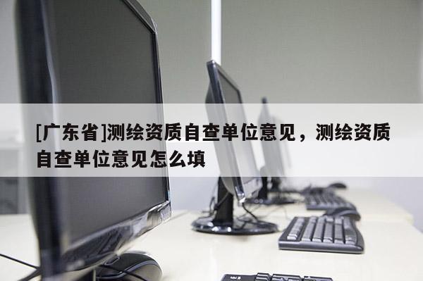 [广东省]测绘资质自查单位意见，测绘资质自查单位意见怎么填