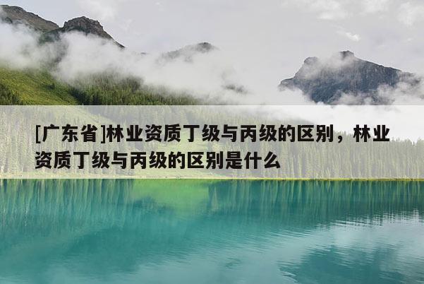 [广东省]林业资质丁级与丙级的区别，林业资质丁级与丙级的区别是什么