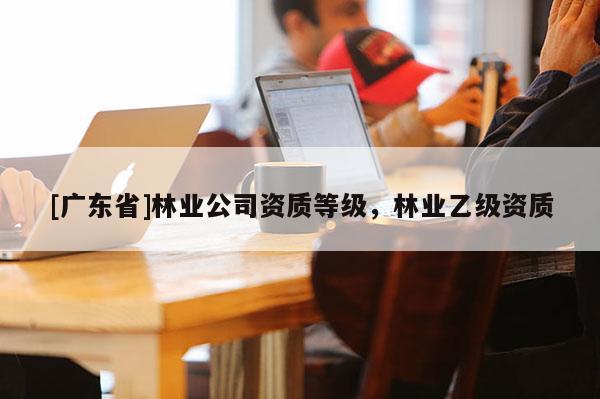 [广东省]林业公司资质等级，林业乙级资质
