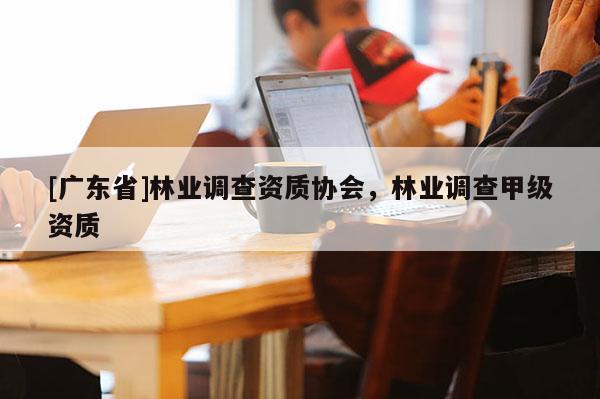 [广东省]林业调查资质协会，林业调查甲级资质