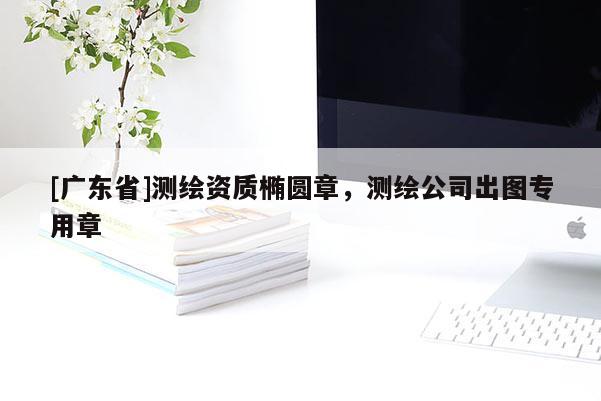 [广东省]测绘资质椭圆章，测绘公司出图专用章
