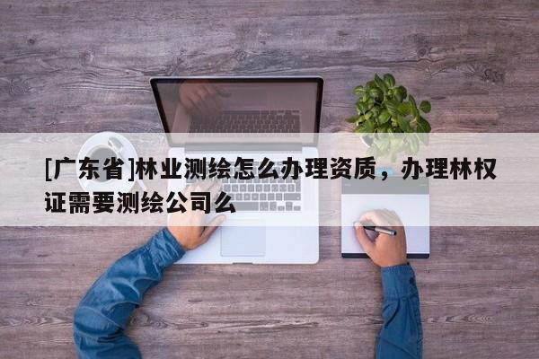 [广东省]林业测绘怎么办理资质，办理林权证需要测绘公司么
