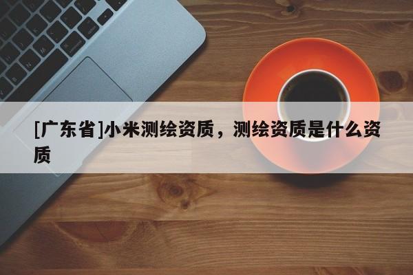 [广东省]小米测绘资质，测绘资质是什么资质
