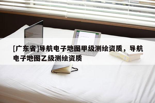 [广东省]导航电子地图甲级测绘资质，导航电子地图乙级测绘资质