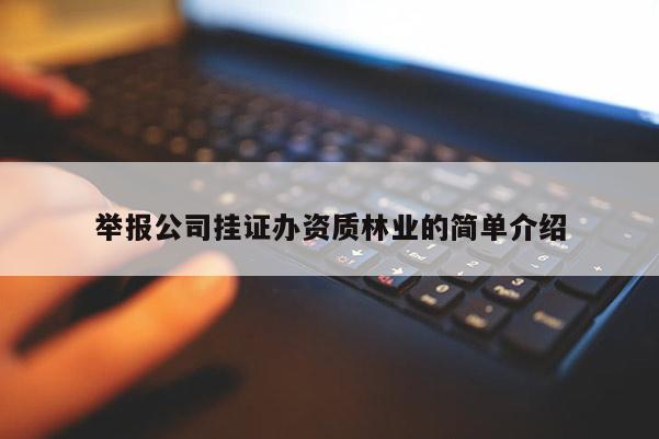 举报公司挂证办资质林业的简单介绍