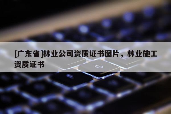 [广东省]林业公司资质证书图片，林业施工资质证书