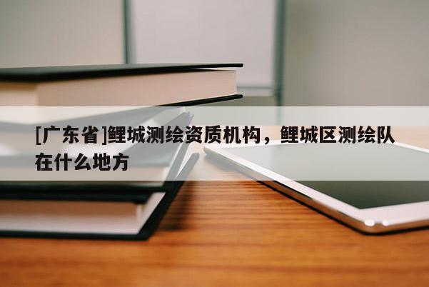 [广东省]鲤城测绘资质机构，鲤城区测绘队在什么地方