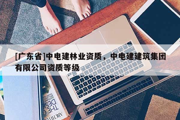 [广东省]中电建林业资质，中电建建筑集团有限公司资质等级