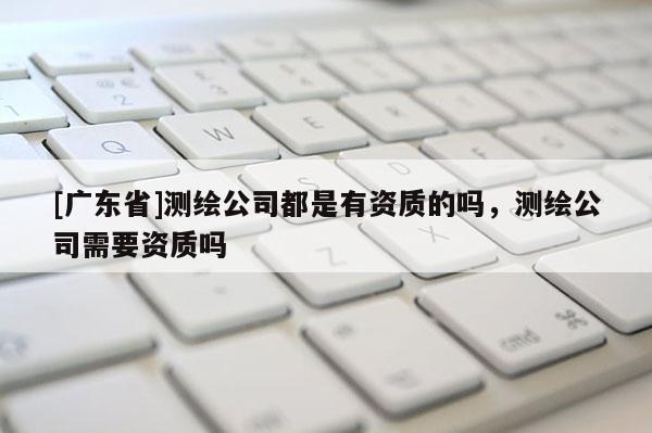 [广东省]测绘公司都是有资质的吗，测绘公司需要资质吗