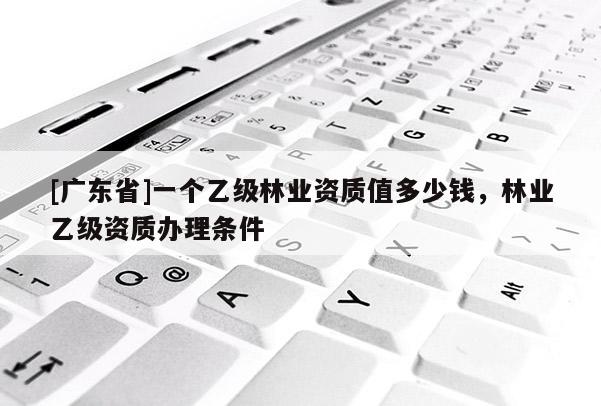 [广东省]一个乙级林业资质值多少钱，林业乙级资质办理条件