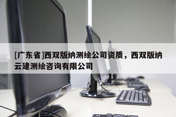 [广东省]西双版纳测绘公司资质，西双版纳云建测绘咨询有限公司