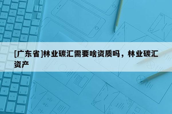 [广东省]林业碳汇需要啥资质吗，林业碳汇资产