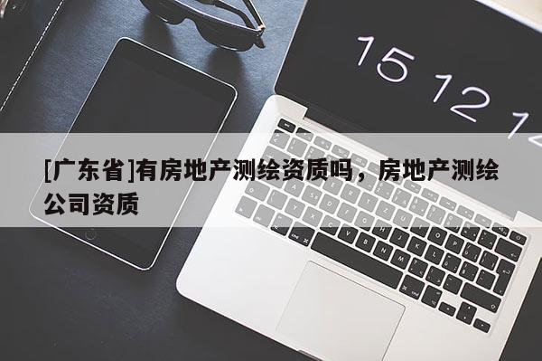 [广东省]有房地产测绘资质吗，房地产测绘公司资质