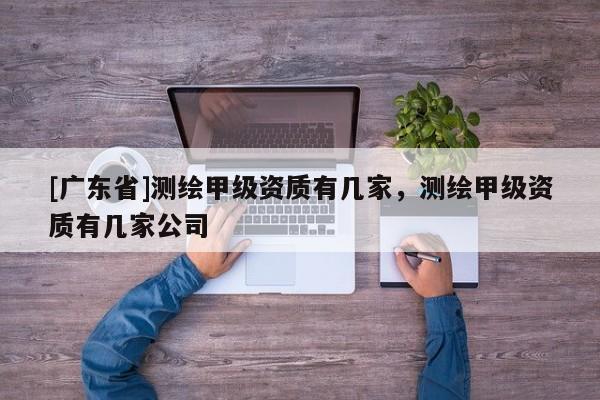 [广东省]测绘甲级资质有几家，测绘甲级资质有几家公司