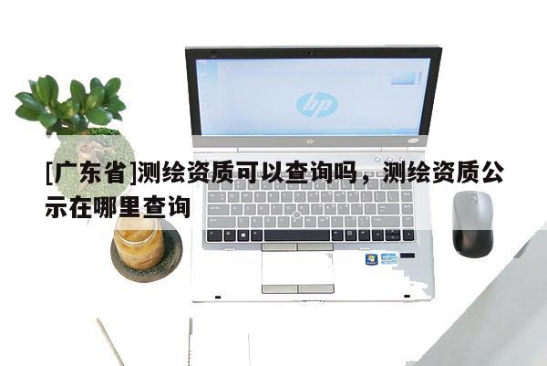 [广东省]测绘资质可以查询吗，测绘资质公示在哪里查询
