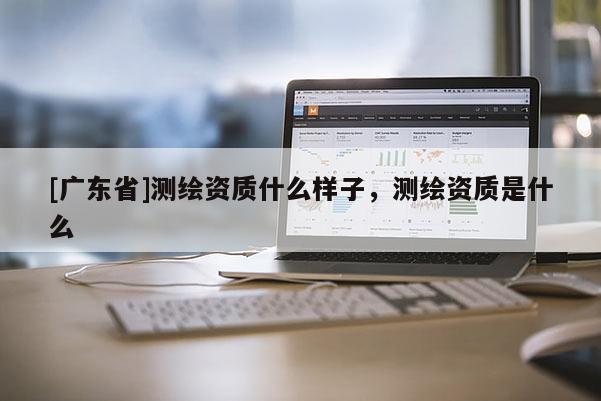 [广东省]测绘资质什么样子，测绘资质是什么