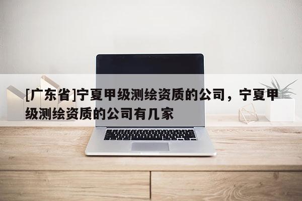 [广东省]宁夏甲级测绘资质的公司，宁夏甲级测绘资质的公司有几家