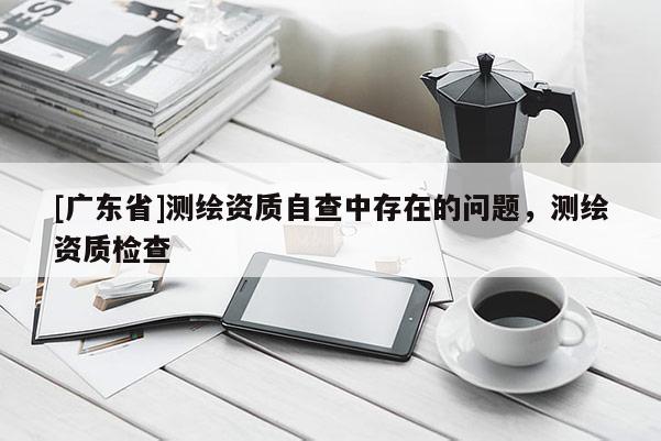 [广东省]测绘资质自查中存在的问题，测绘资质检查