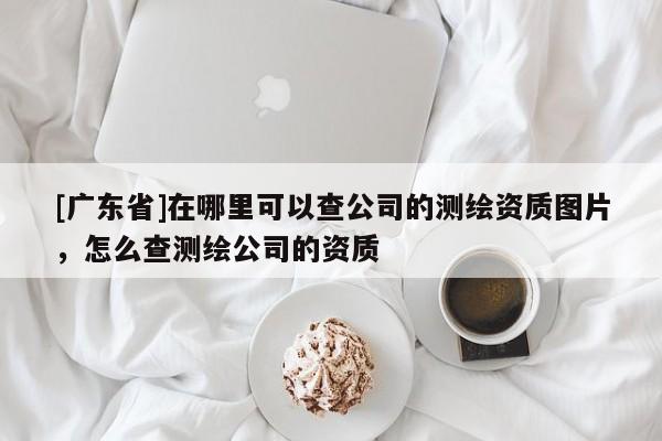 [广东省]在哪里可以查公司的测绘资质图片，怎么查测绘公司的资质