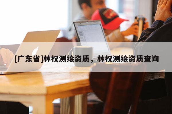 [广东省]林权测绘资质，林权测绘资质查询