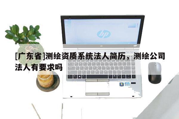 [广东省]测绘资质系统法人简历，测绘公司法人有要求吗