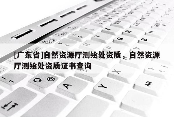 [广东省]自然资源厅测绘处资质，自然资源厅测绘处资质证书查询