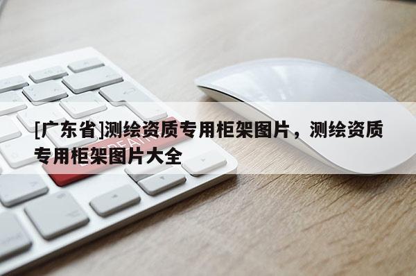 [广东省]测绘资质专用柜架图片，测绘资质专用柜架图片大全