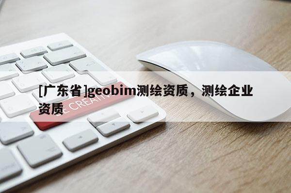 [广东省]geobim测绘资质，测绘企业资质