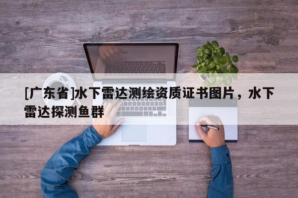 [广东省]水下雷达测绘资质证书图片，水下雷达探测鱼群