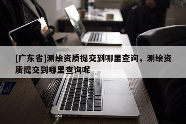 [广东省]测绘资质提交到哪里查询，测绘资质提交到哪里查询呢