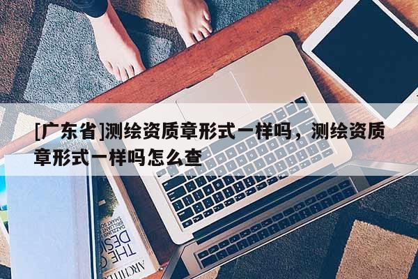 [广东省]测绘资质章形式一样吗，测绘资质章形式一样吗怎么查