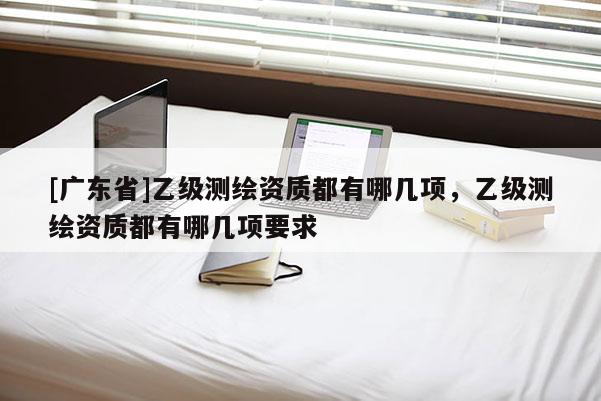 [广东省]乙级测绘资质都有哪几项，乙级测绘资质都有哪几项要求