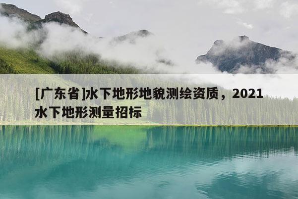 [广东省]水下地形地貌测绘资质，2021水下地形测量招标
