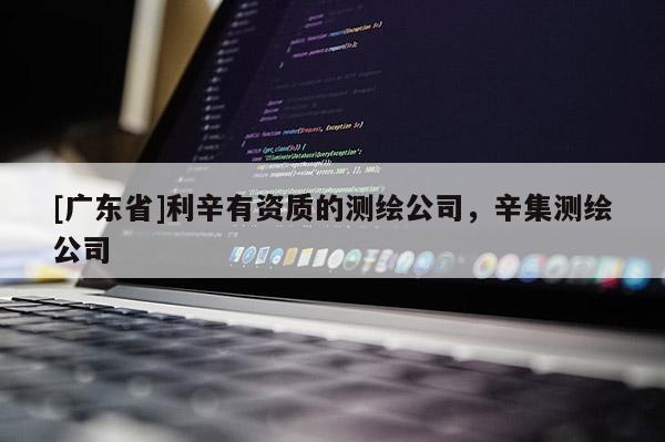[广东省]利辛有资质的测绘公司，辛集测绘公司