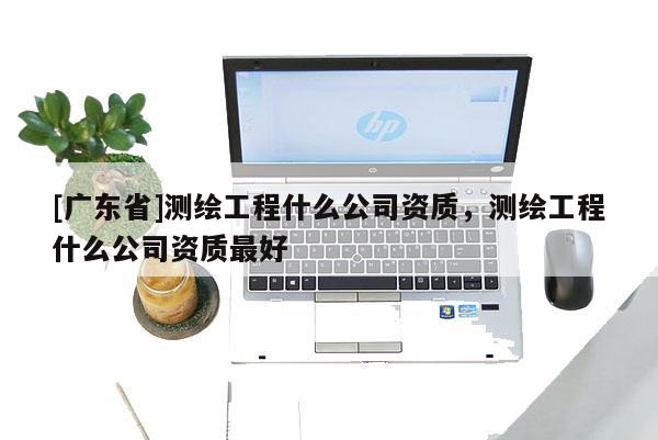 [广东省]测绘工程什么公司资质，测绘工程什么公司资质最好