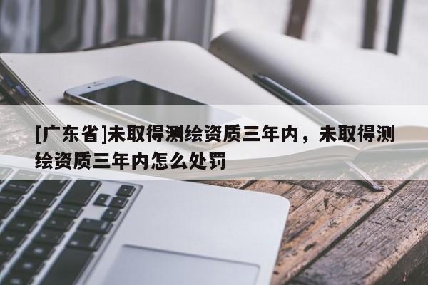 [广东省]未取得测绘资质三年内，未取得测绘资质三年内怎么处罚
