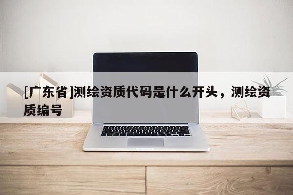 [广东省]测绘资质代码是什么开头，测绘资质编号