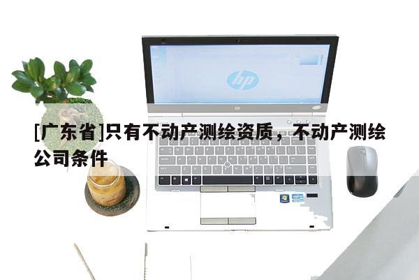[广东省]只有不动产测绘资质，不动产测绘公司条件