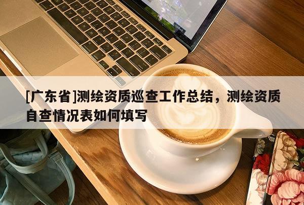 [广东省]测绘资质巡查工作总结，测绘资质自查情况表如何填写