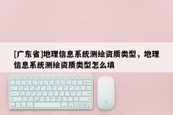[广东省]地理信息系统测绘资质类型，地理信息系统测绘资质类型怎么填