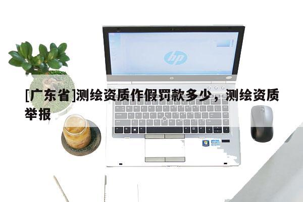 [广东省]测绘资质作假罚款多少，测绘资质举报