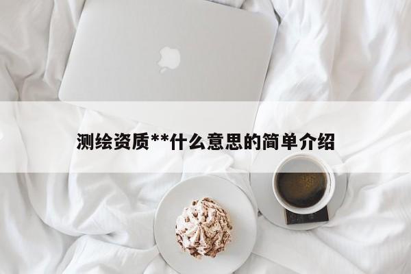 测绘资质**什么意思的简单介绍