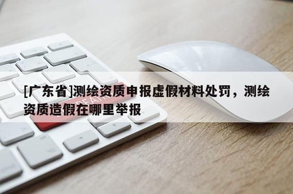 [广东省]测绘资质申报虚假材料处罚，测绘资质造假在哪里举报